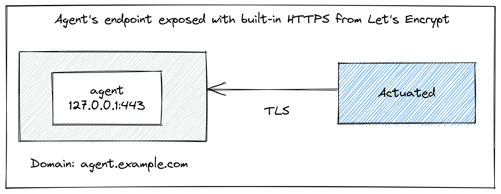 Accessing the agent's endpoint built-in TLS and Let's Encrypt